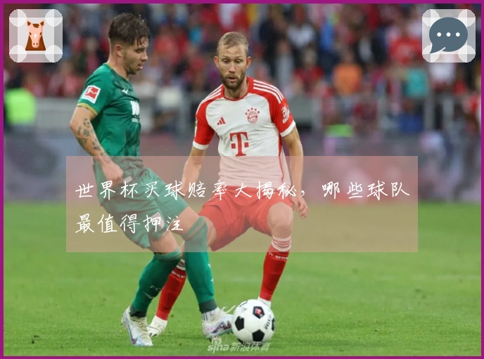 世界杯买球赔率大揭秘，哪些球队最值得押注