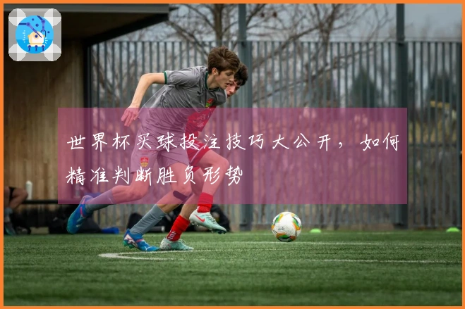 世界杯买球投注技巧大公开，如何精准判断胜负形势