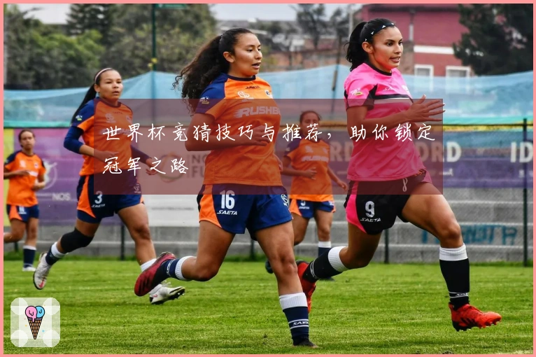 世界杯竞猜技巧与推荐，助你锁定冠军之路