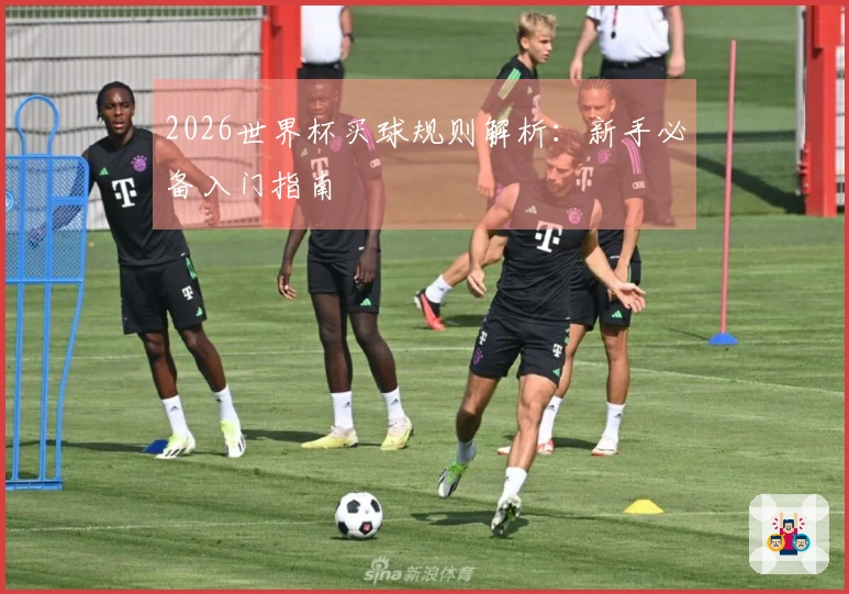 2026世界杯买球规则解析：新手必备入门指南