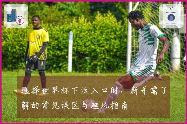 选择世界杯下注入口时，新手需了解的常见误区与避坑指南