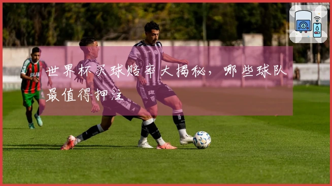 世界杯买球赔率大揭秘，哪些球队最值得押注