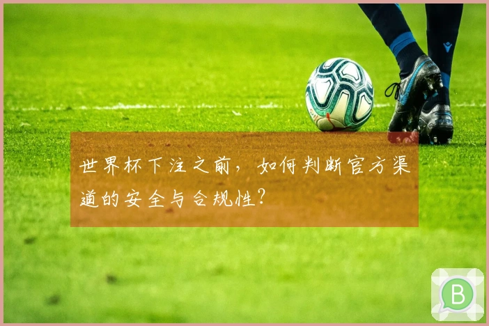 世界杯下注之前，如何判断官方渠道的安全与合规性？